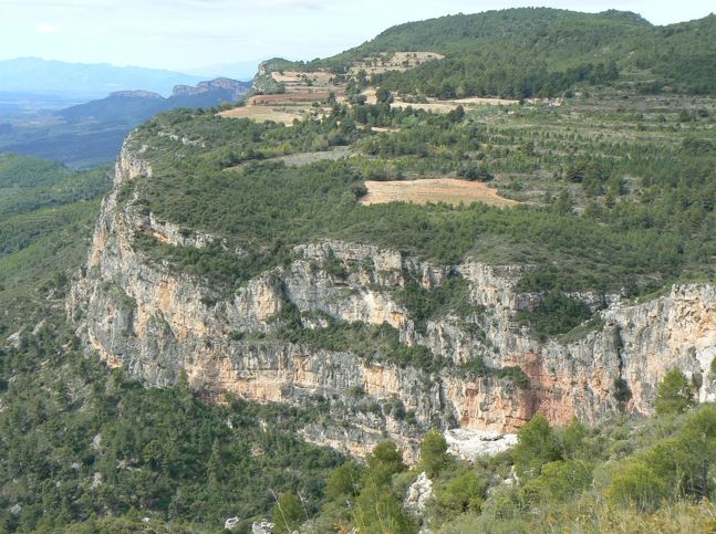 What is a plateau? - Learn what is inside a plateau as an ecosystem