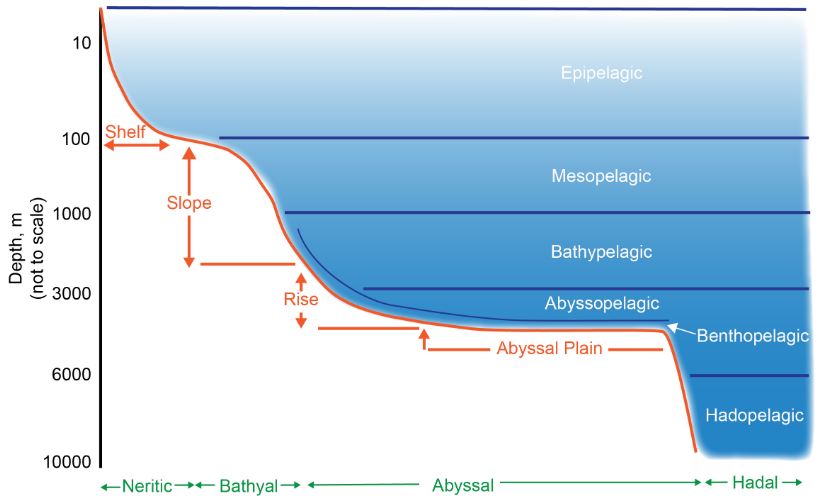 What is an abyssal plain? - Learn all about the types of plains
