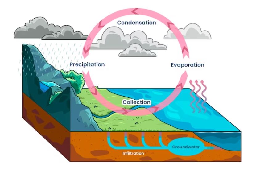 What is the Terrestrial Hydrosphere?