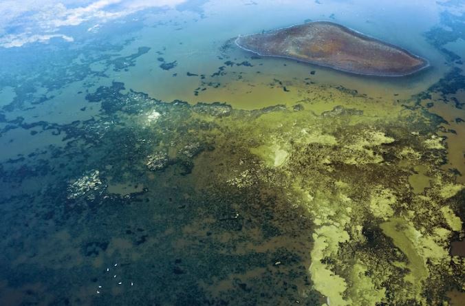 What is underwater relief? - The earth's crust in the sea
