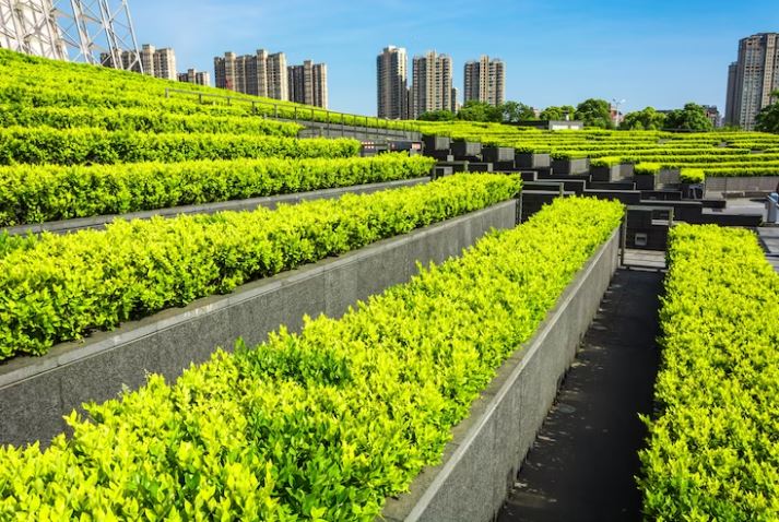 What is urban agriculture? - Know everything about agriculture in urban spaces